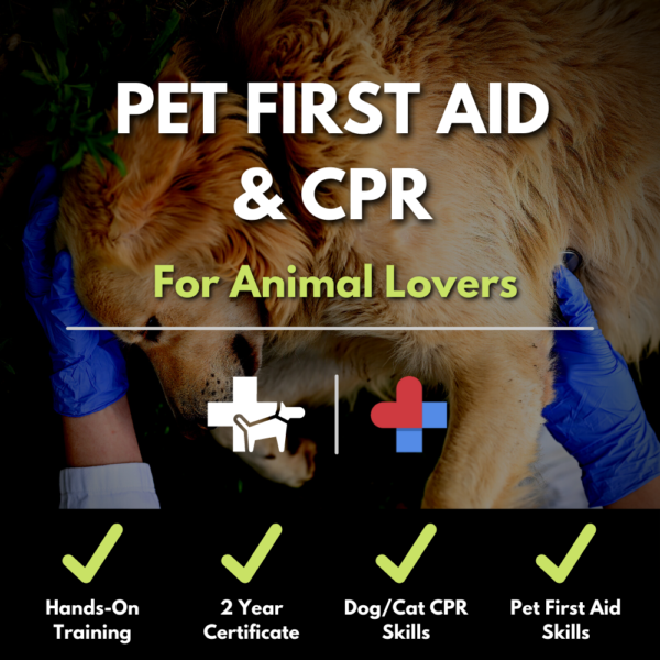 cpr and first aid class for pets